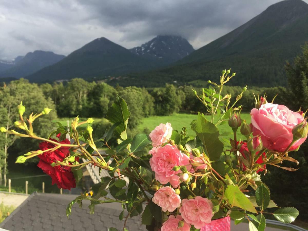 Apartment Dreamvalley Isfjorden Esterno foto